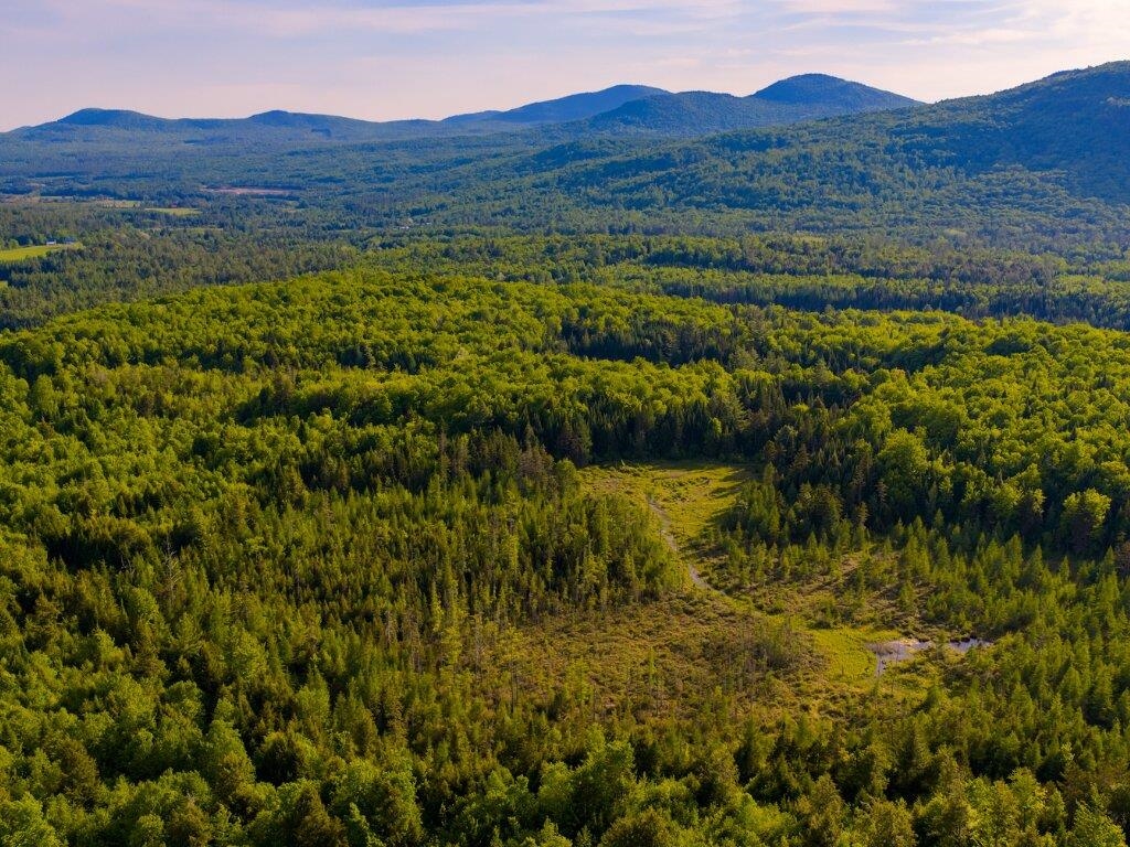 3180 Bear Hill Road, Unit 1 Guildhall, VT 05905 - Photo 3 of 16
