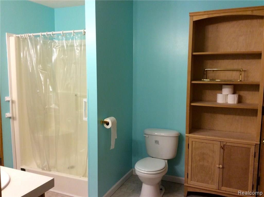 11350 Palmer Road Maybee, MI 48159 - Photo 14 of 22 FULLY ACCESSIBLE WITH WALK-IN SHOWER