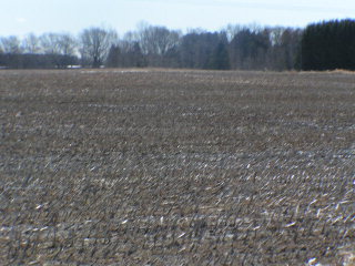 0 Adams Road Algoma, WI 54201 - Photo 1 of 1 Main View