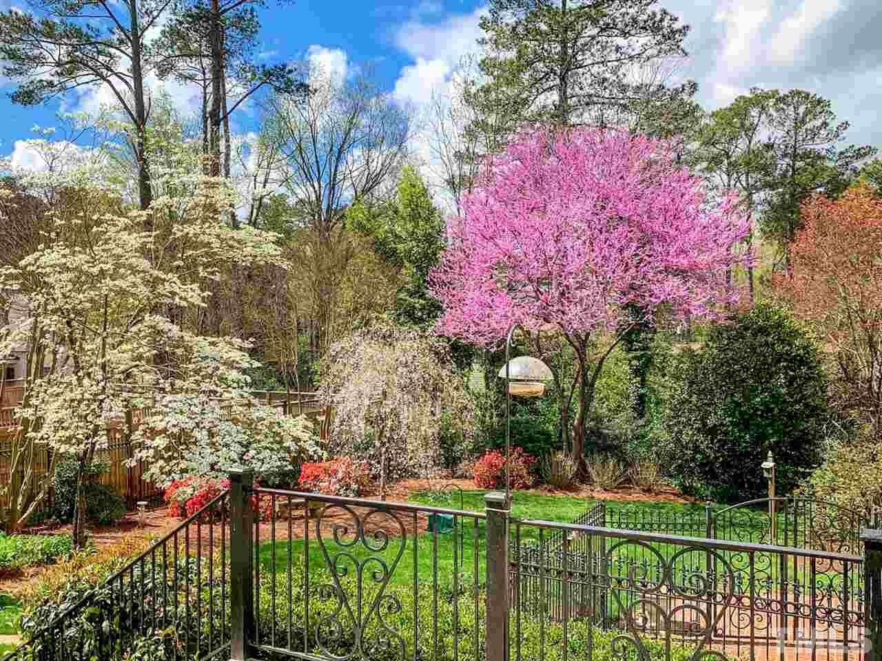 1321 Brooks Avenue Raleigh, NC 27607 - Photo 12 of 30 Spring is a time to look forward to in this back yard- Dogwood, Weeping Cherry and Red Bud trees plus azaleas.