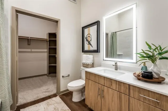 a bathroom with a sink a toilet and vanity