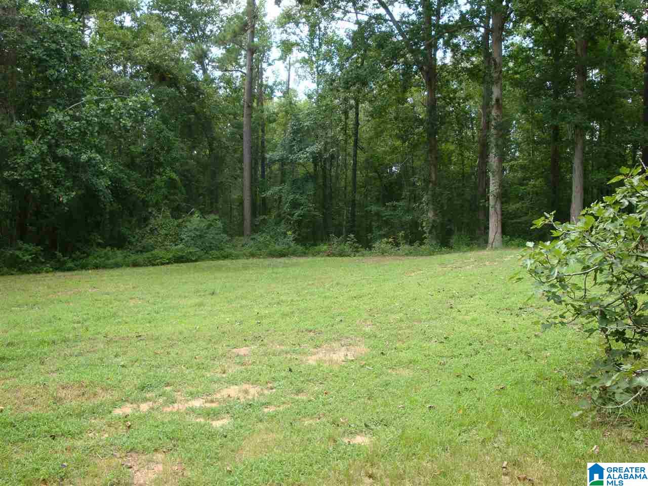 1259 County Road 76 Clanton, AL 35045 - Photo 30 of 41