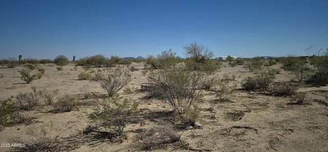 a view of a bunch of trees in a field