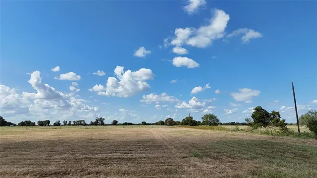 a view of a big yard