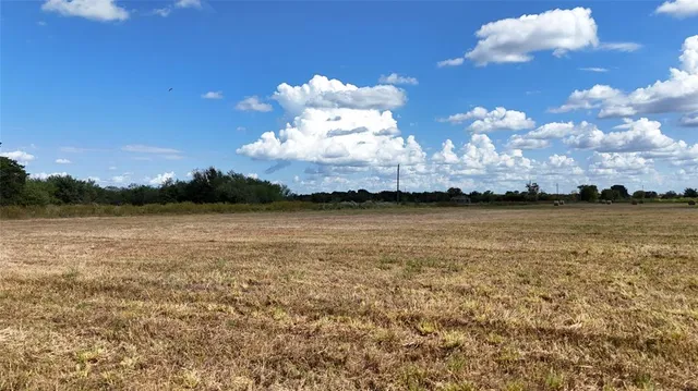 a view of a big room with a big yard and large trees