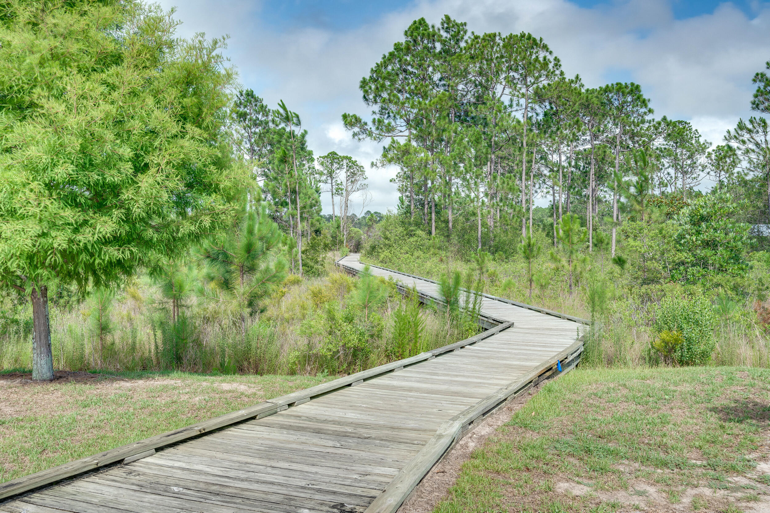 89 Crossing Lane, Unit F Santa Rosa Beach, FL 32459 - Photo 37 of 37 a view of a backyard of the house