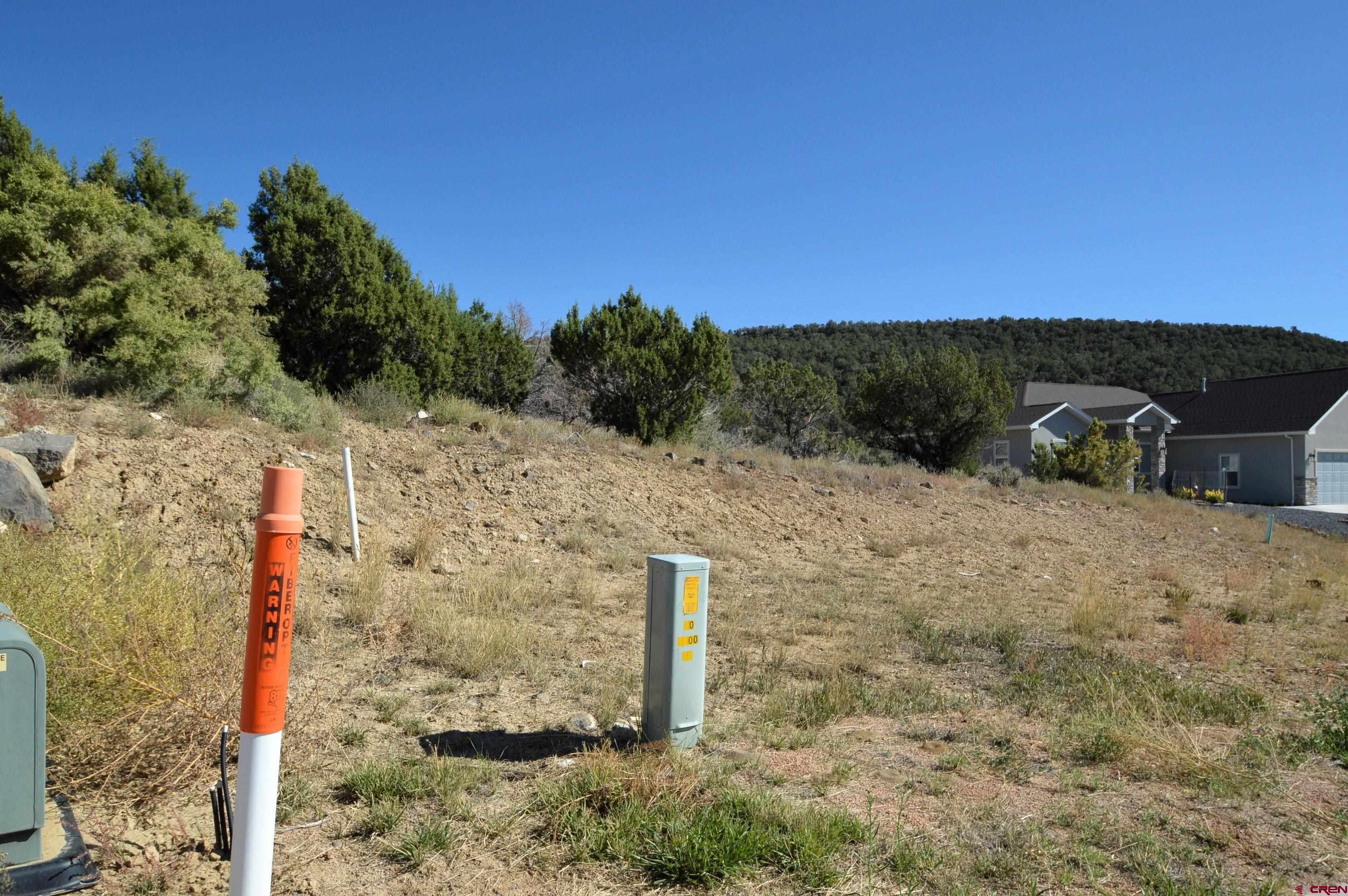 725 Southeast Pine Street Cedaredge, CO 81413 - Photo 10 of 11 a view of a dry yard with wooden fence