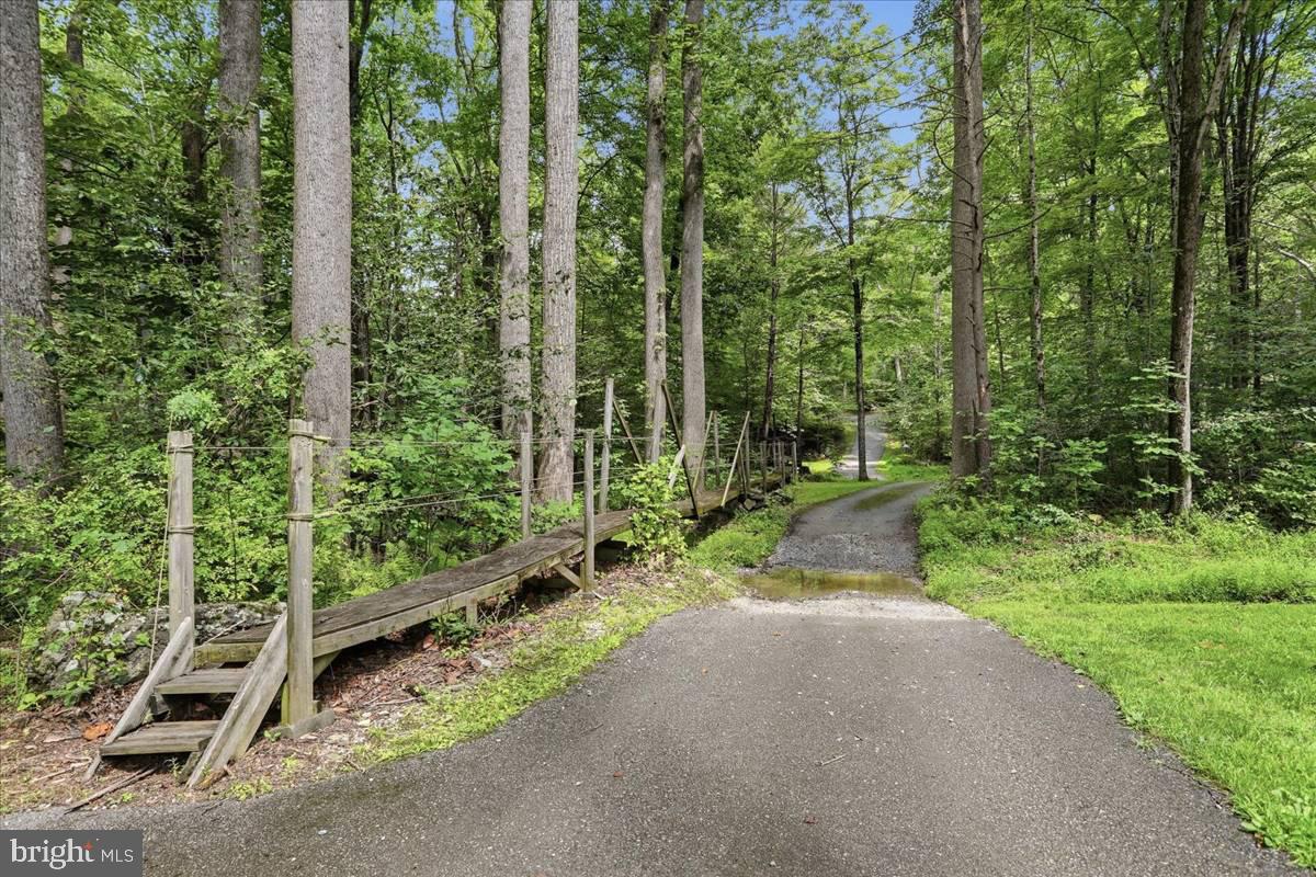 24105 Raven Rock Road Smithsburg, MD 21783 - Photo 40 of 51 Serene woodland pathway awaits you.