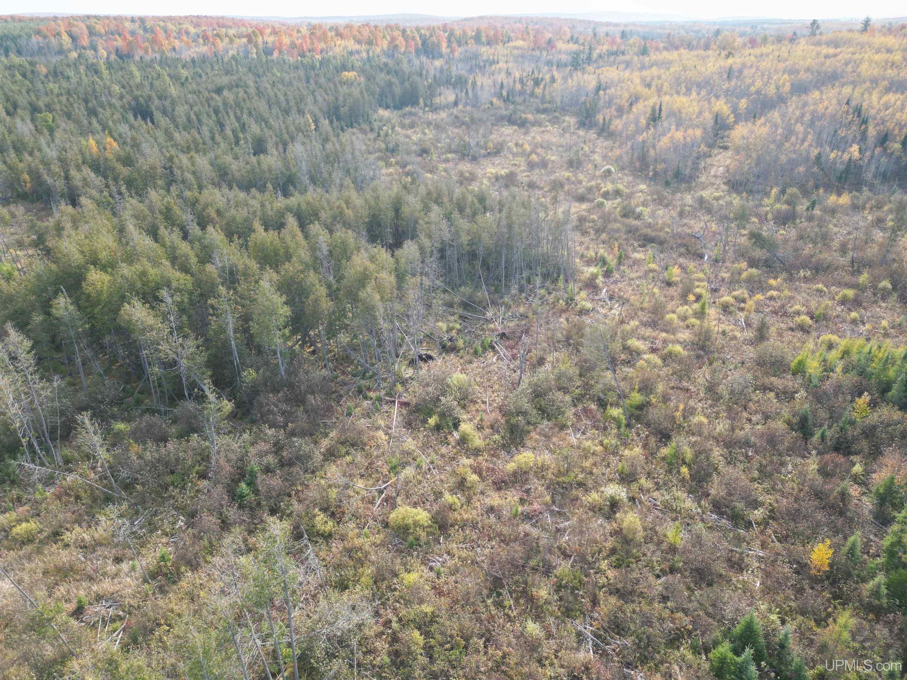 80 Rd Vulcan Mi 49892 Road Vulcan, MI 49892 - Photo 48 of 49 Gallery Image 48