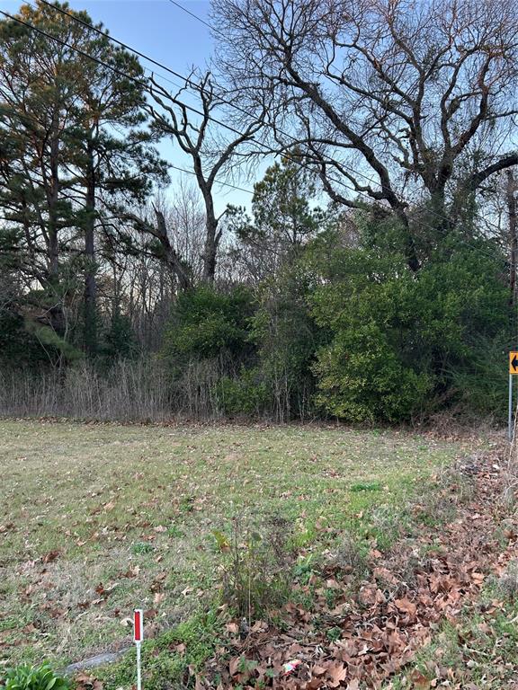 1203 North Hamlett Street Athens, TX 75751 - Photo 2 of 9 a backyard of a house with lots of green space