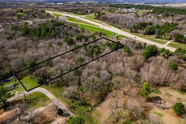 a view of a yard with a lush green forest