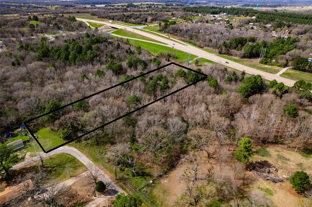 1203 North Hamlett Street Athens, TX 75751 - Photo 6 of 9 a view of a yard with a lush green forest