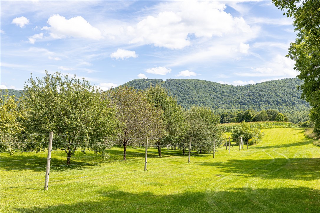 7780 Cold Springs Road Bath, NY 14810 - Photo 28 of 50 Lush grassy fields roll gently toward a backdrop of forested mountain peaks.
