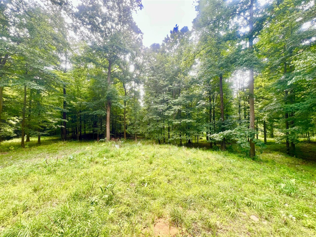 2201 South Sand Lake Road Hillsdale, MI 49242 - Photo 16 of 32