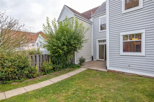 a view of a yard with plants and a large tree