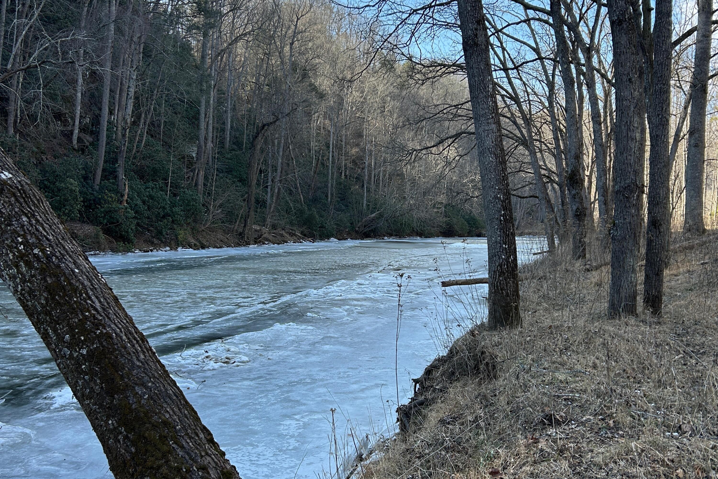 5600 Chestnut Ridge Road Riner, VA 24149 - Photo 19 of 23 a view of a backyard with large trees