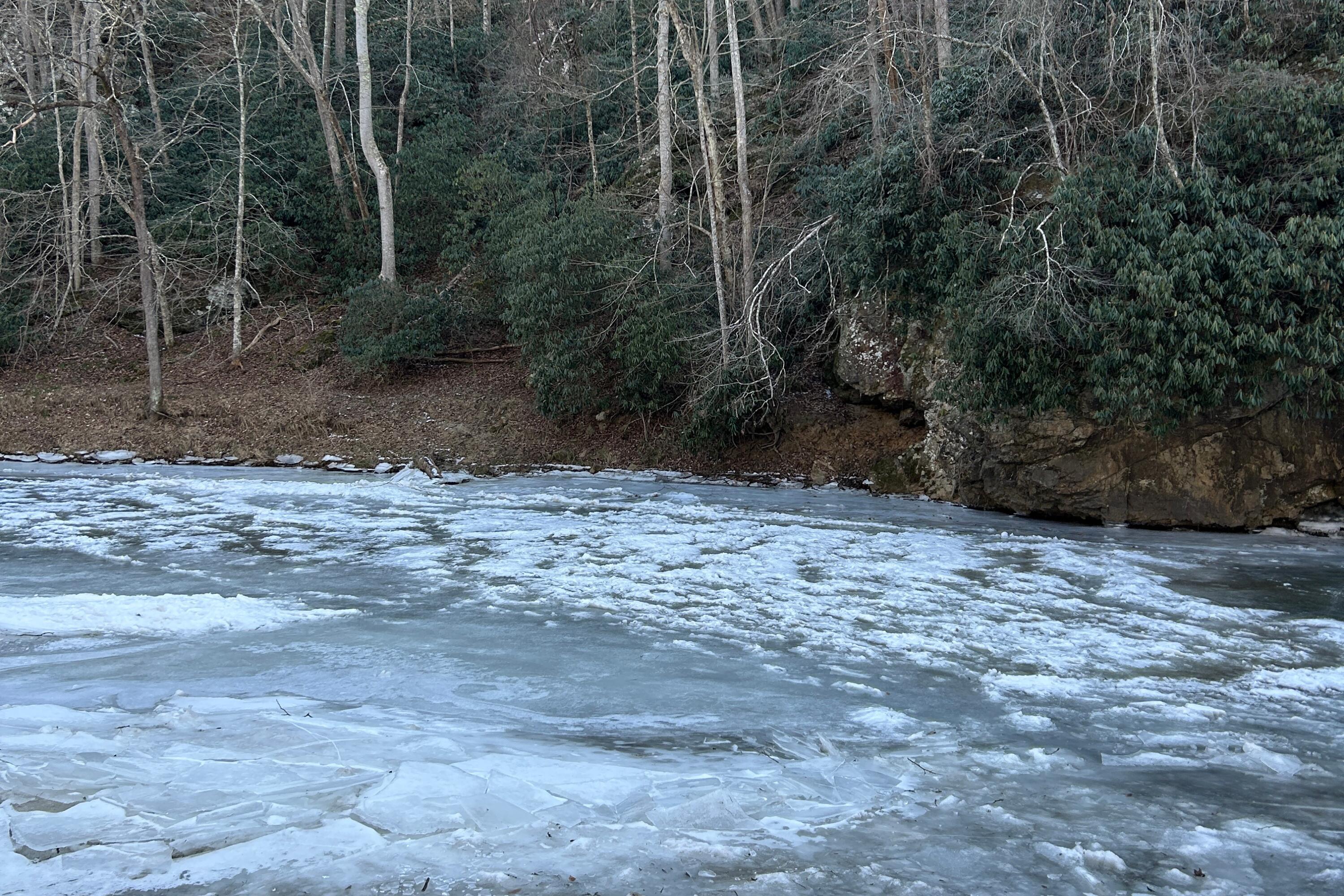 5600 Chestnut Ridge Road Riner, VA 24149 - Photo 20 of 23 a view of a backyard of a house