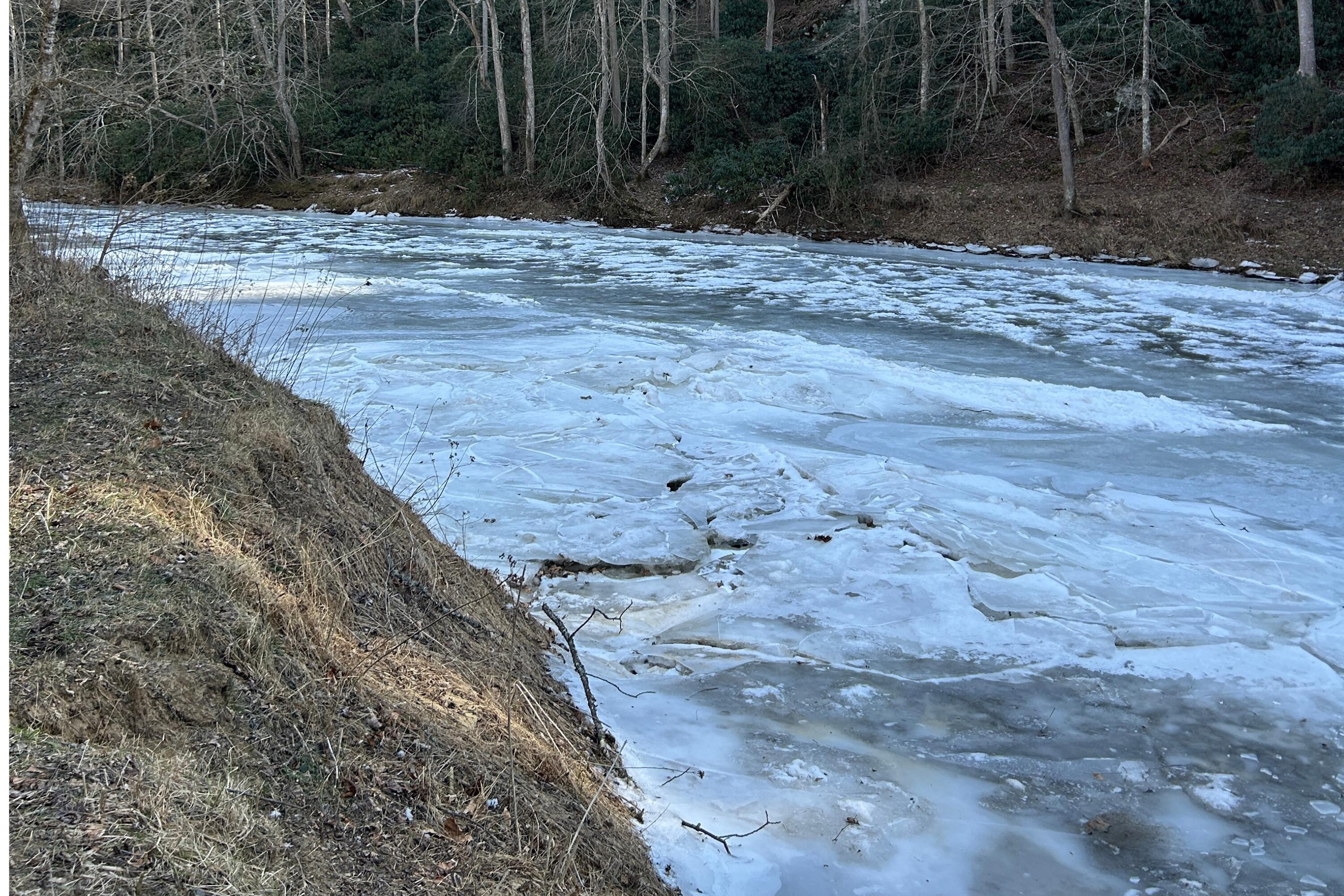 5600 Chestnut Ridge Road Riner, VA 24149 - Photo 21 of 23 a view of a backyard of a house