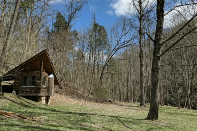 a backyard of house with trees