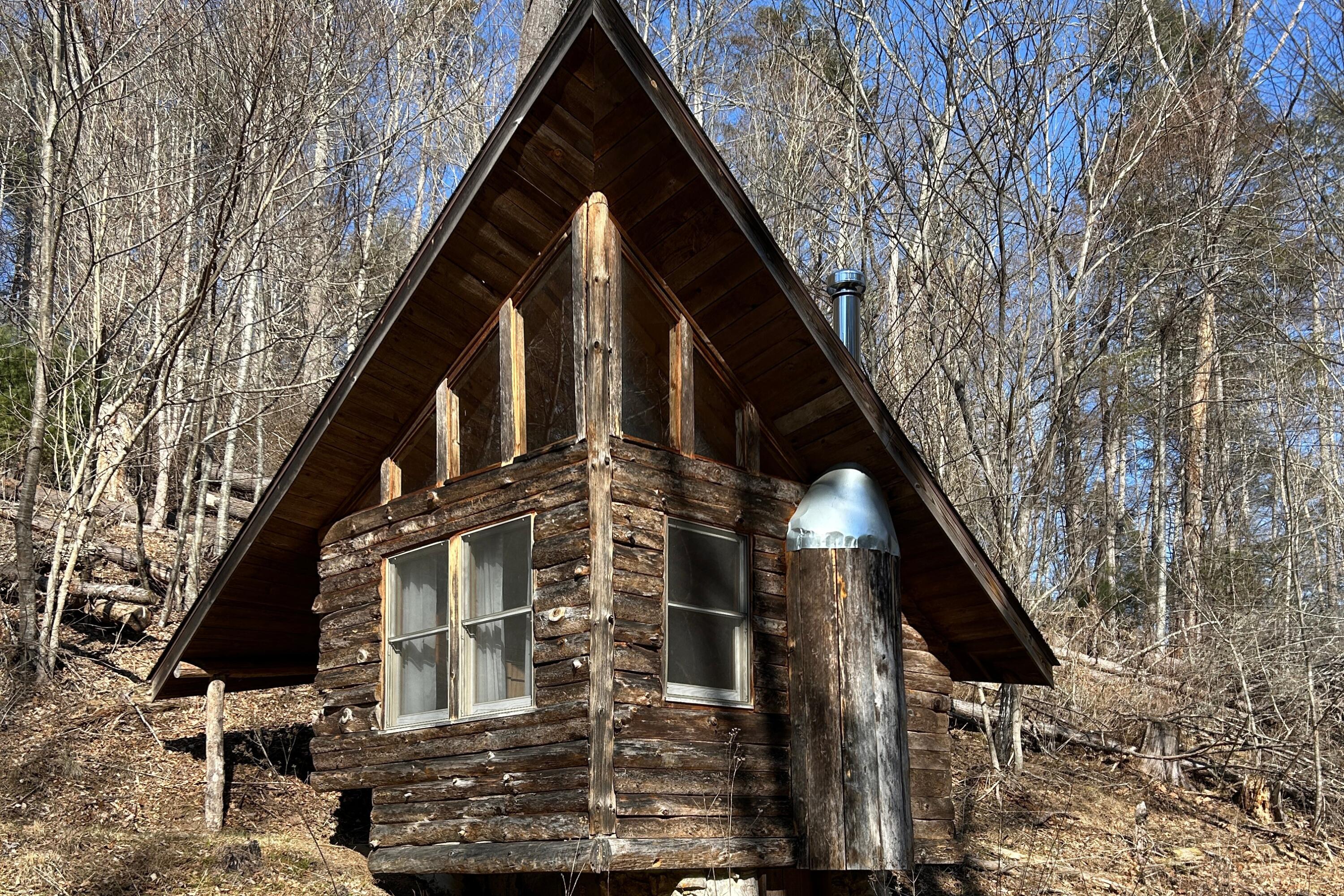 5600 Chestnut Ridge Road Riner, VA 24149 - Photo 5 of 23 a view of a house with a yard