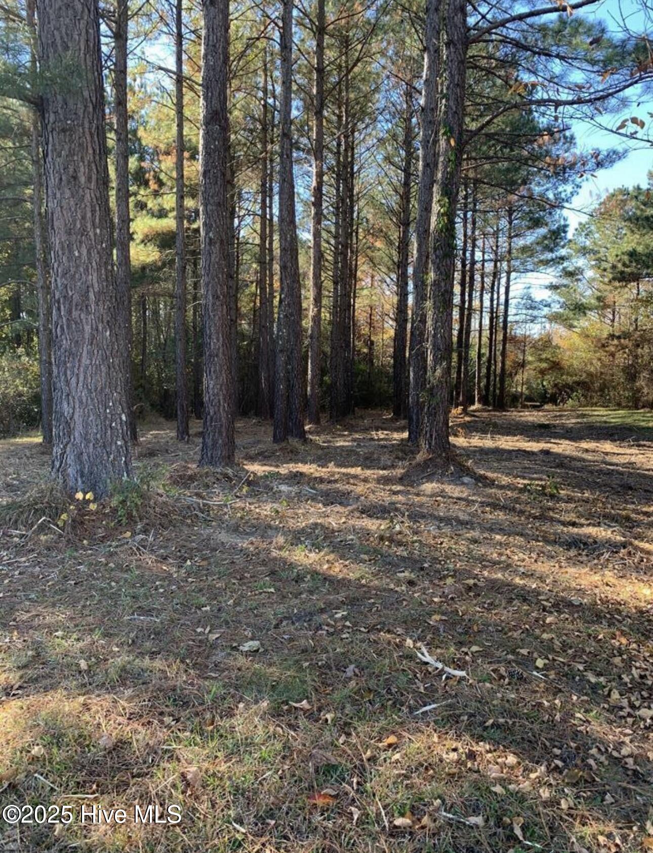 220 Colleton Edenton, NC 27932 - Photo 2 of 11 IMG_4106