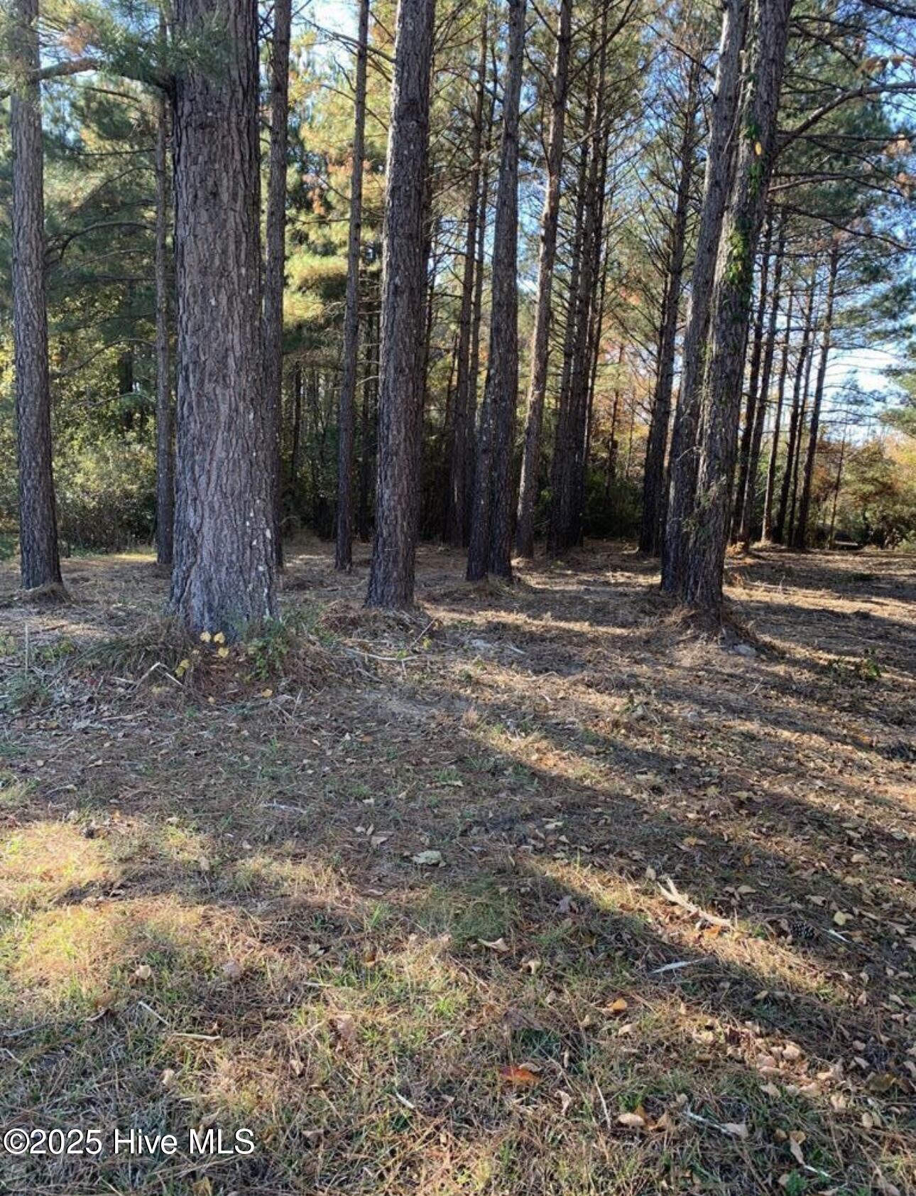 220 Colleton Edenton, NC 27932 - Photo 3 of 11 IMG_4112