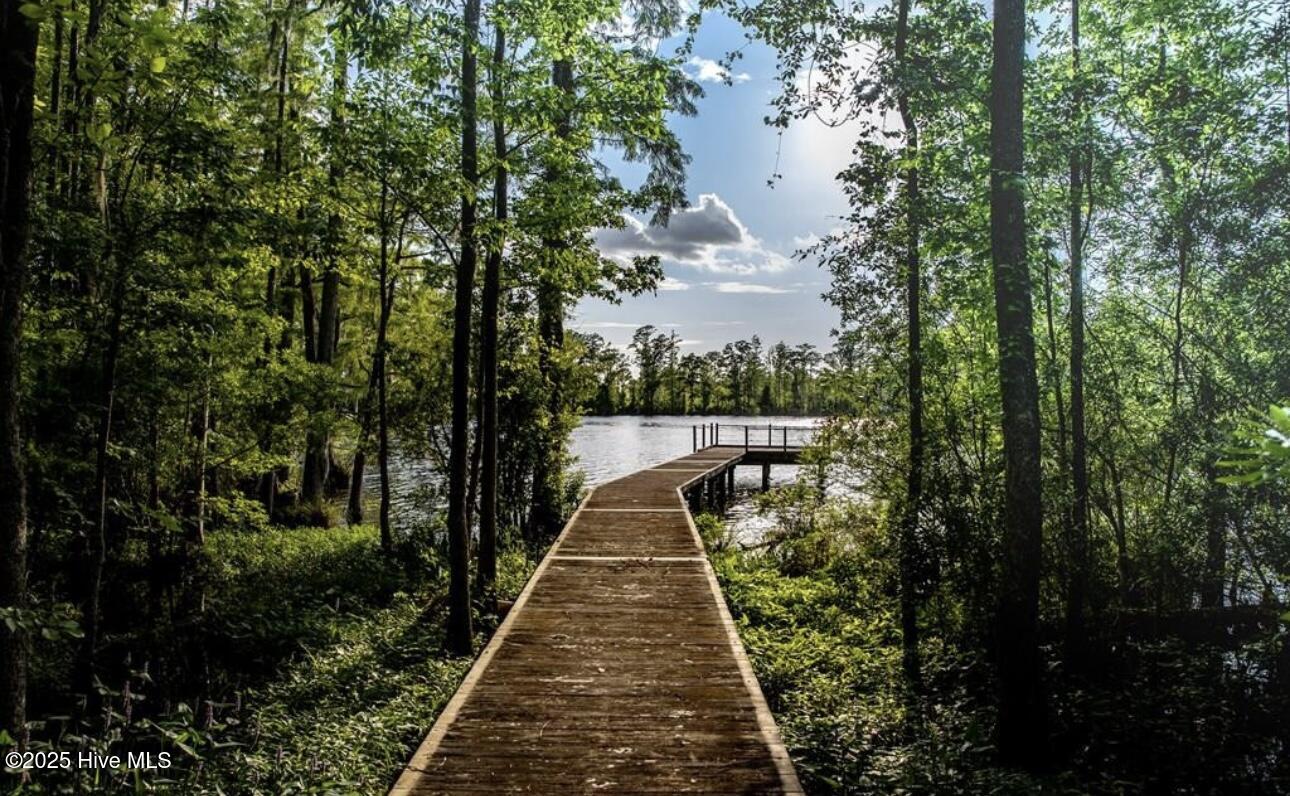 220 Colleton Edenton, NC 27932 - Photo 4 of 11 IMG_4107