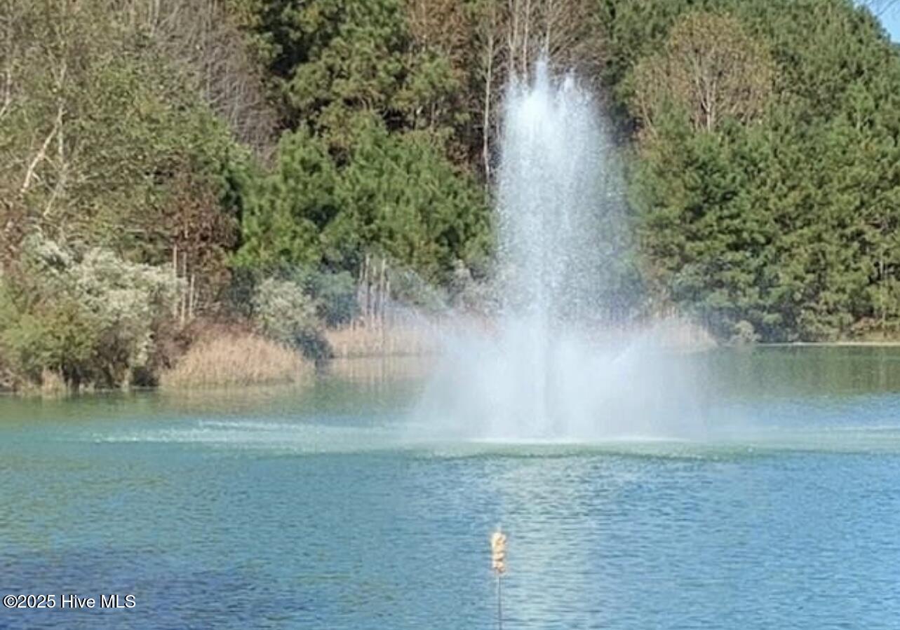 220 Colleton Edenton, NC 27932 - Photo 10 of 11 IMG_4111