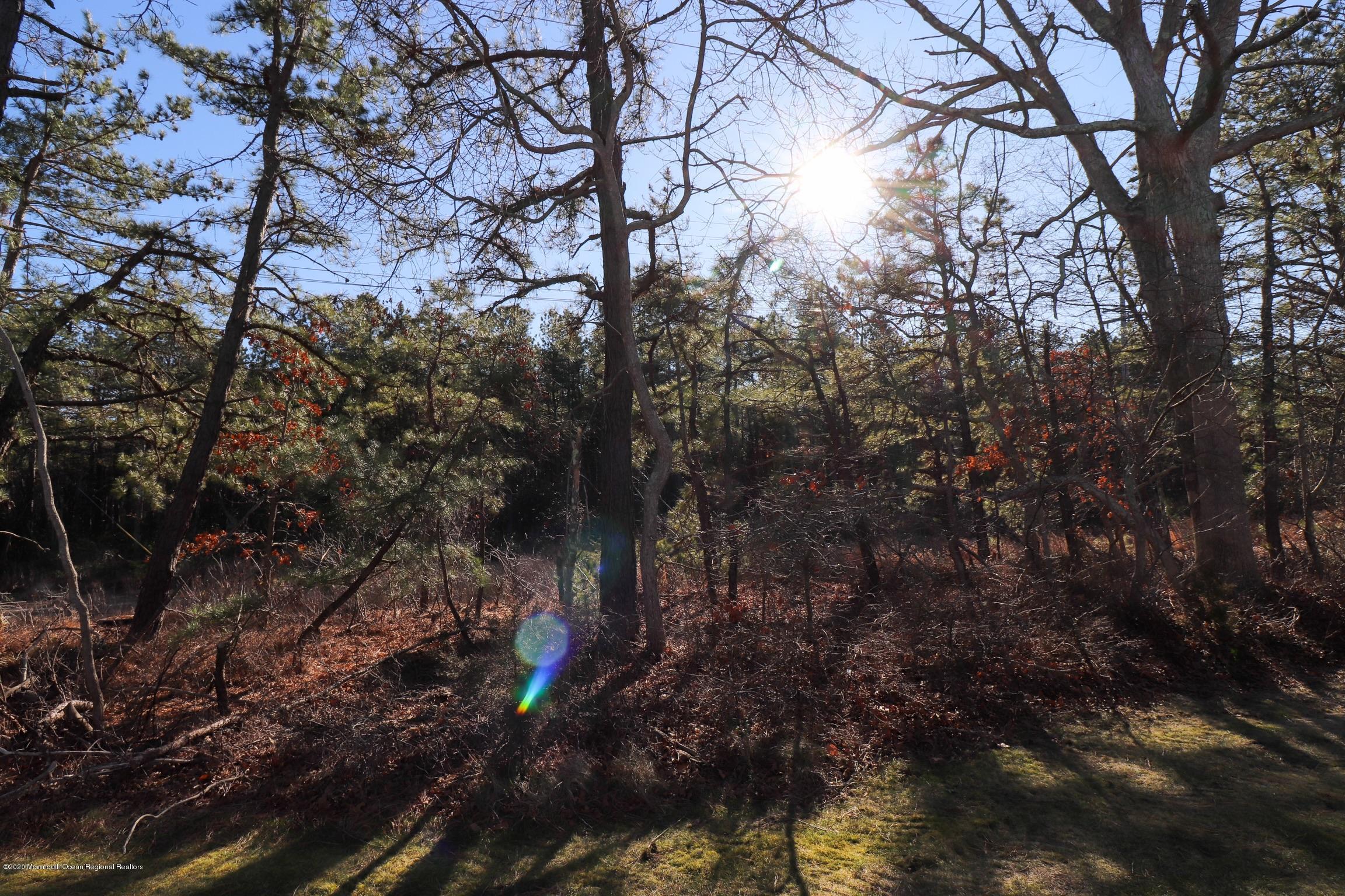20C Alpine Road, Unit C Whiting, NJ 08759 - Photo 18 of 18 C1E9DA0A-726B-4C42-BE21-738BF4A778D6