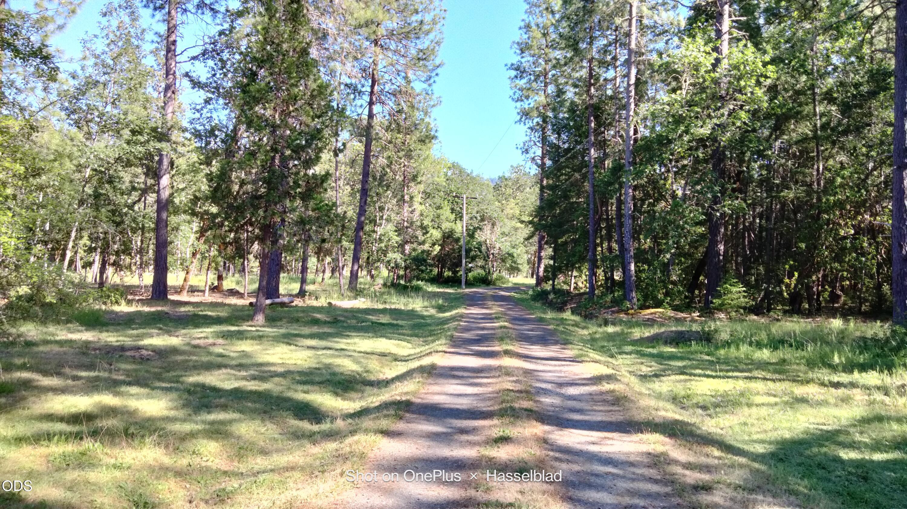 575 Kirkham Road Cave Junction, OR 97523 - Photo 17 of 50