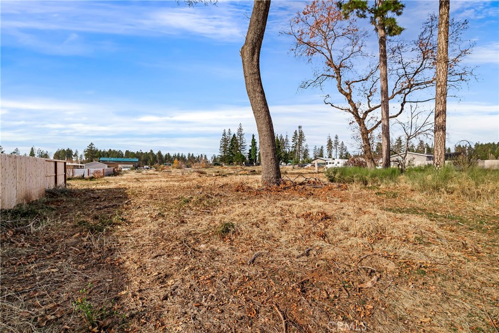 6620 Pentz Road Paradise, CA 95969 - Photo 26 of 29 a view of a yard with an trees