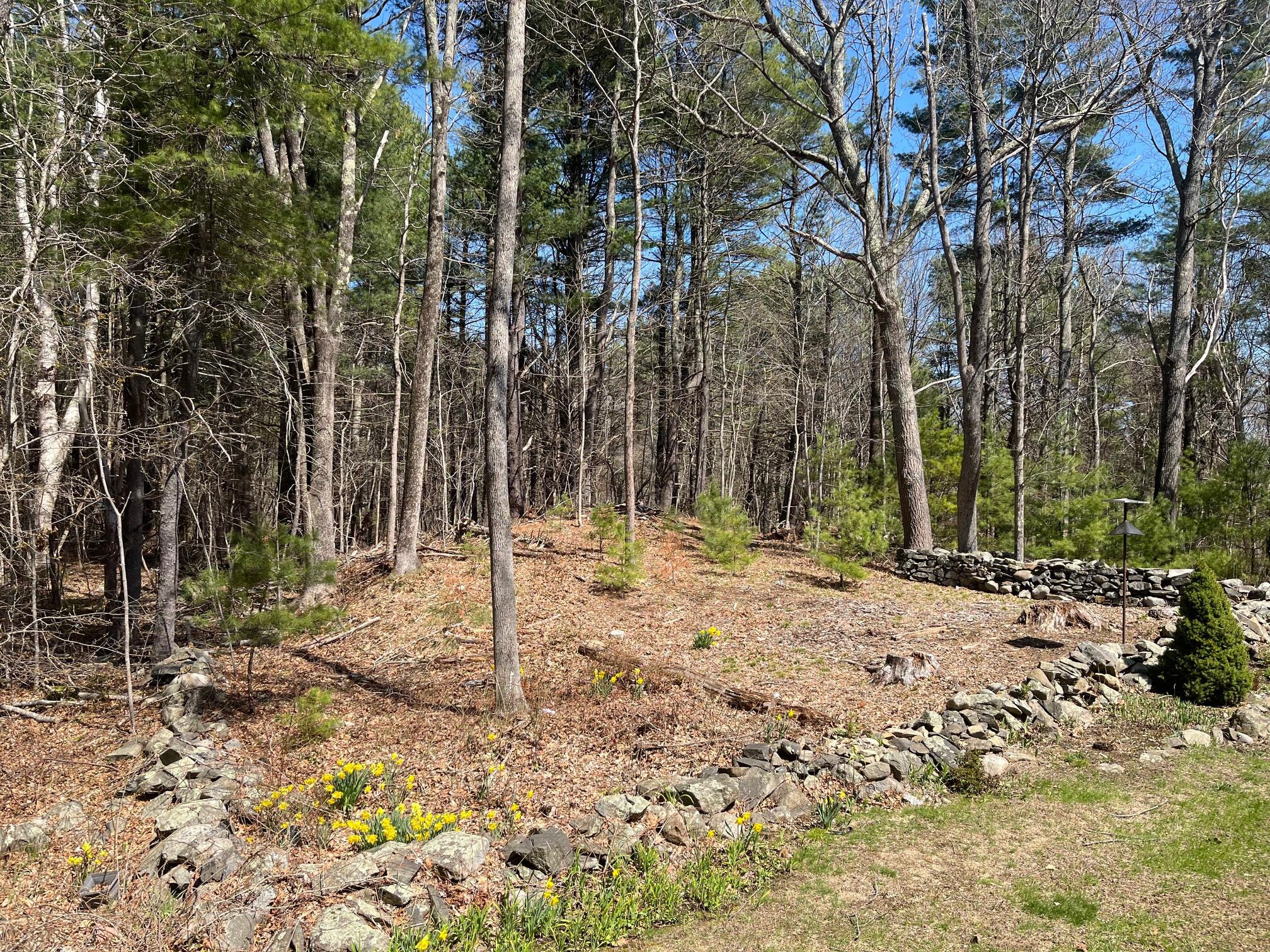 78 Norton Road, Unit 7 Kittery, ME 03904 - Photo 23 of 28 backyard view