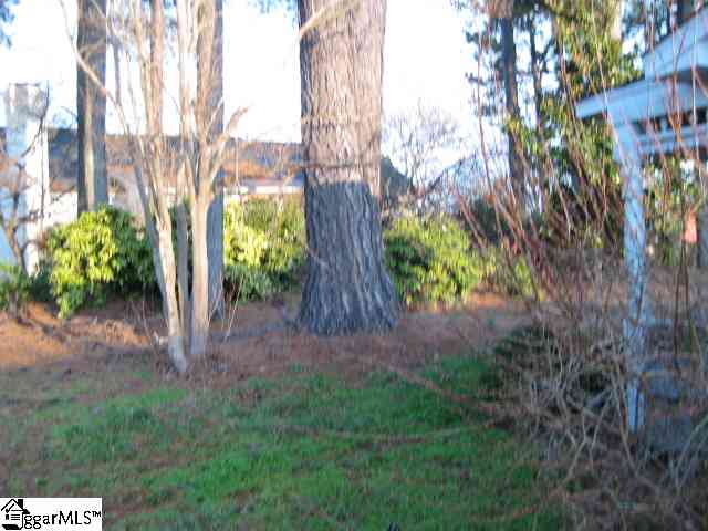 1032 Neely Ferry Road Laurens, SC 29360 - Photo 4 of 24