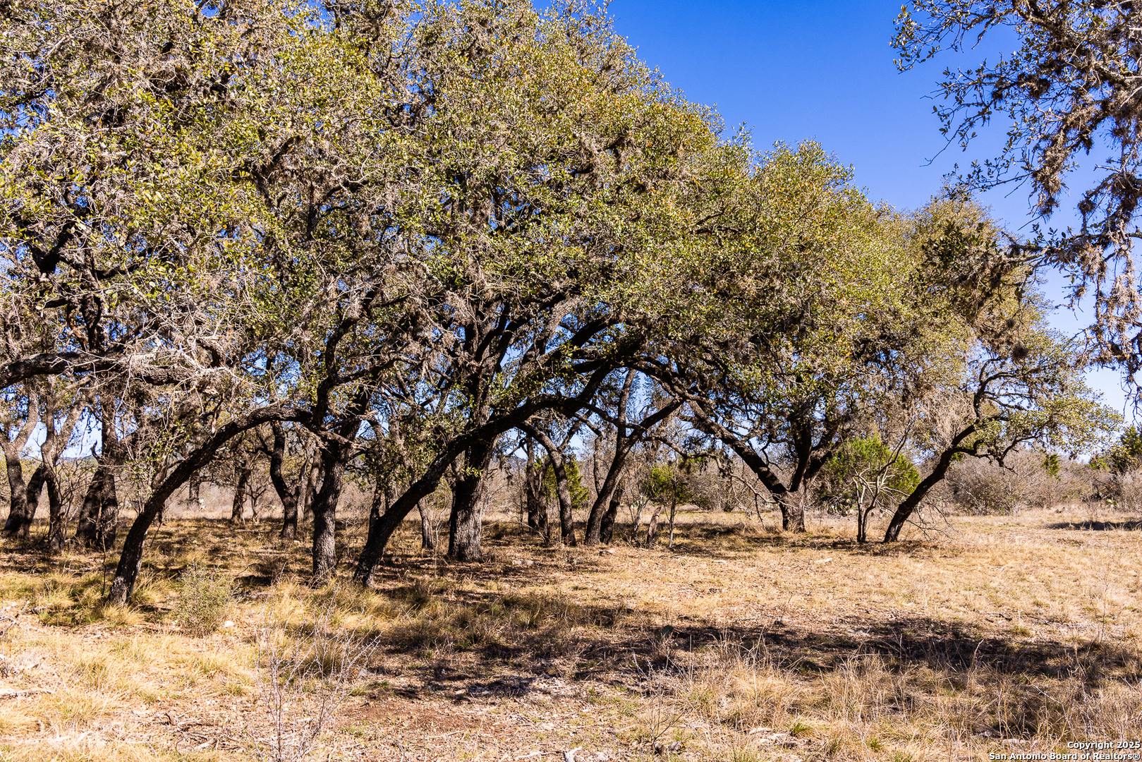 2400 Little Dry Frio Road Rio Frio, TX 78873 - Photo 11 of 28