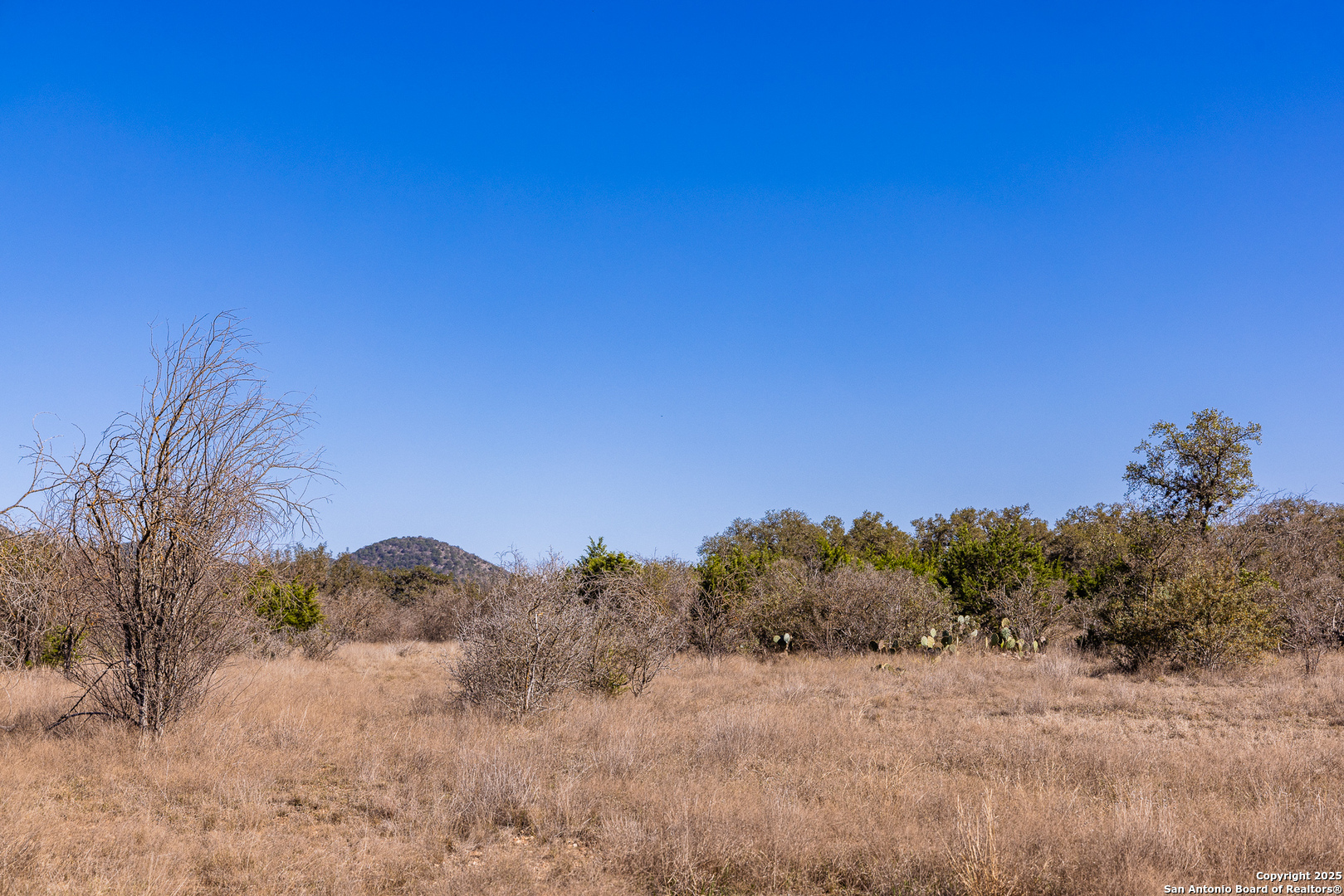 2400 Little Dry Frio Road Rio Frio, TX 78873 - Photo 14 of 28