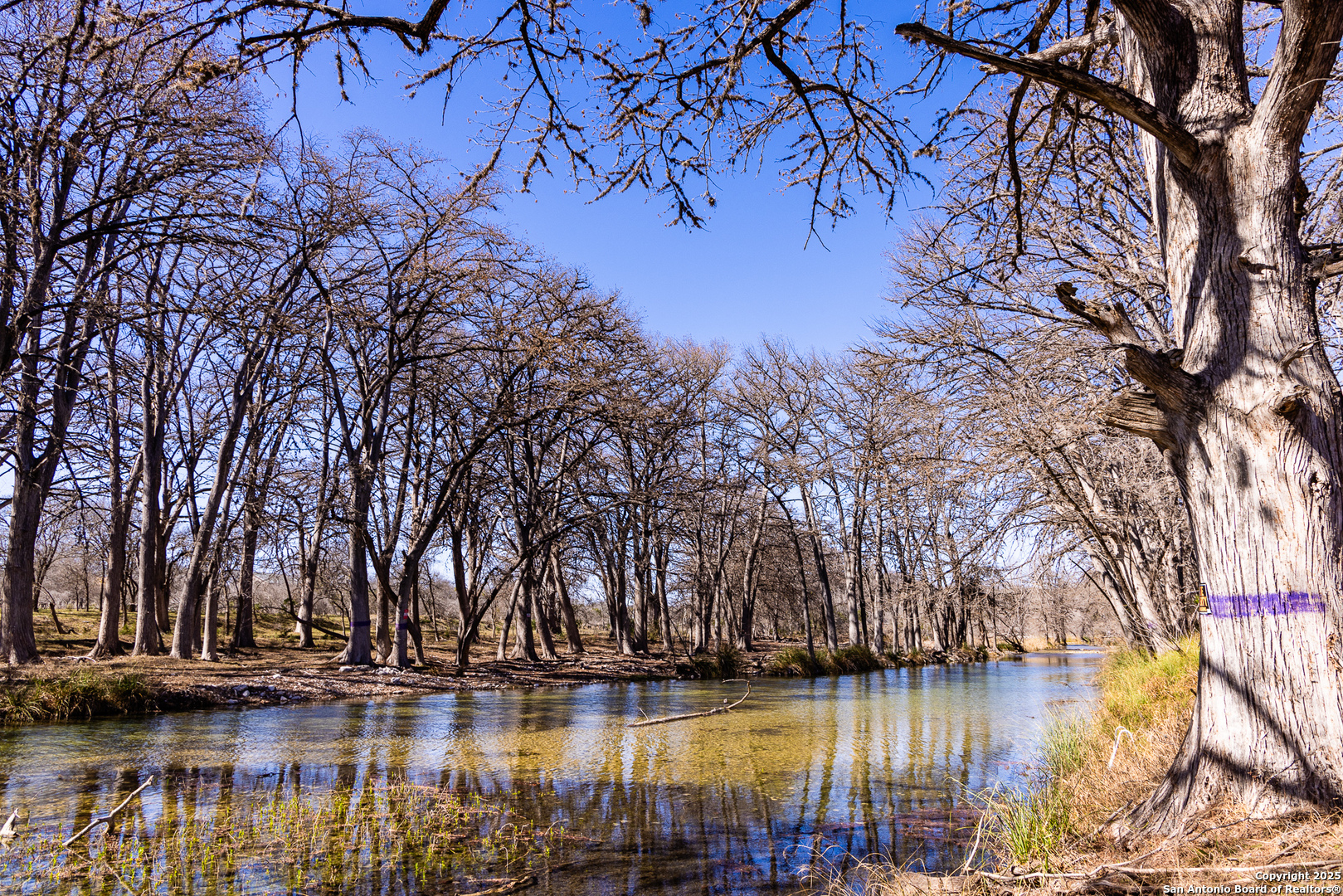 2400 Little Dry Frio Road Rio Frio, TX 78873 - Photo 24 of 28