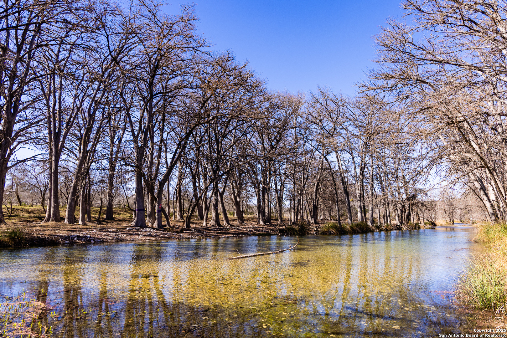 2400 Little Dry Frio Road Rio Frio, TX 78873 - Photo 3 of 28