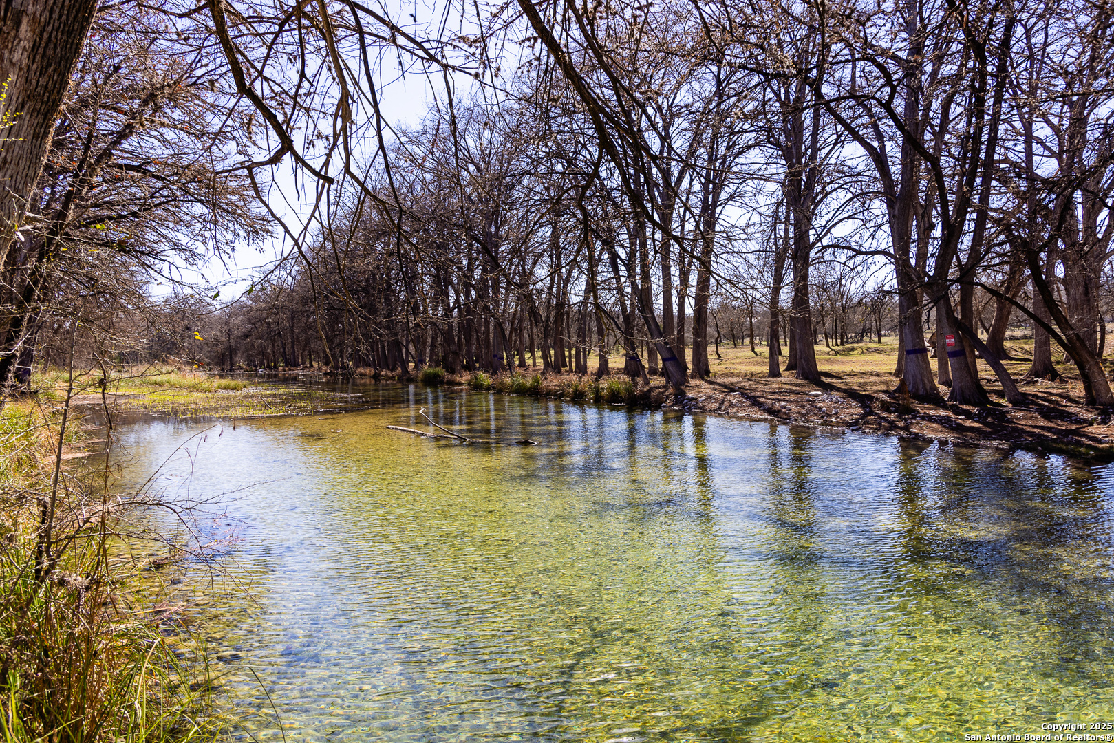 2400 Little Dry Frio Road Rio Frio, TX 78873 - Photo 7 of 28