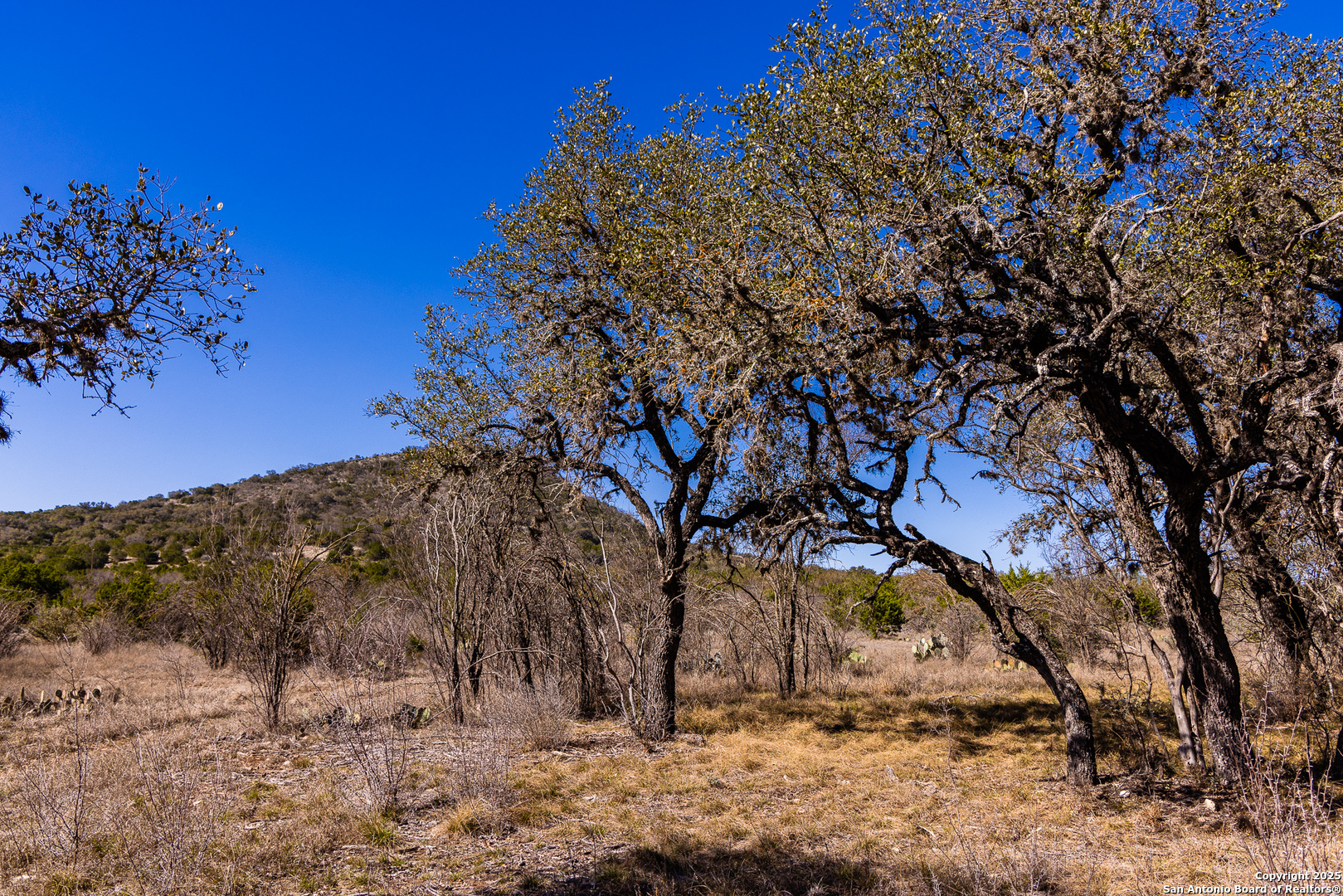 2400 Little Dry Frio Road Rio Frio, TX 78873 - Photo 10 of 28