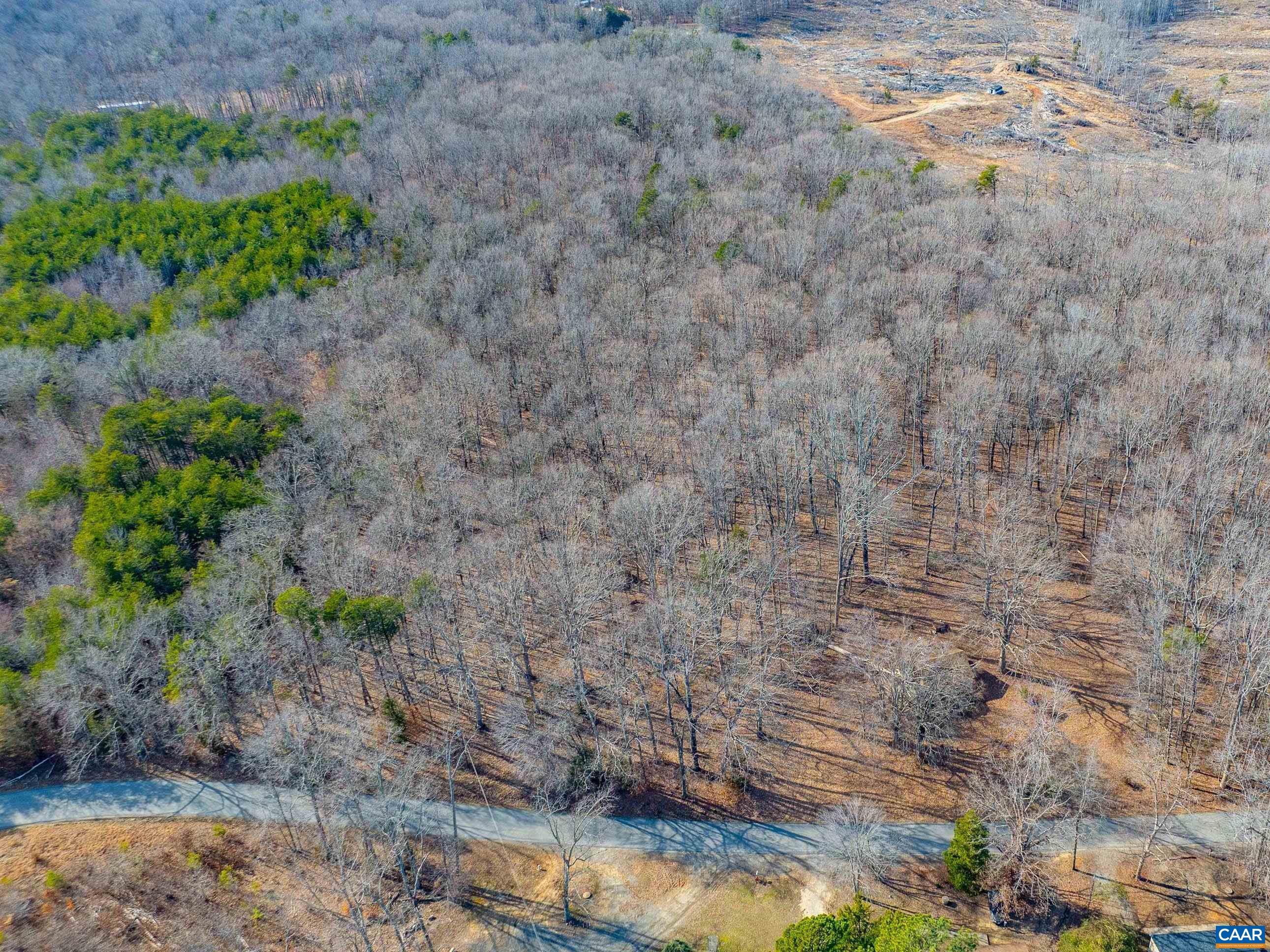 Tbd Redd Shop Road Farmville, VA 23901 - Photo 18 of 20