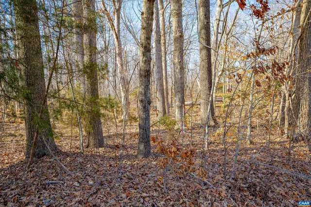 a view of a backyard of the house