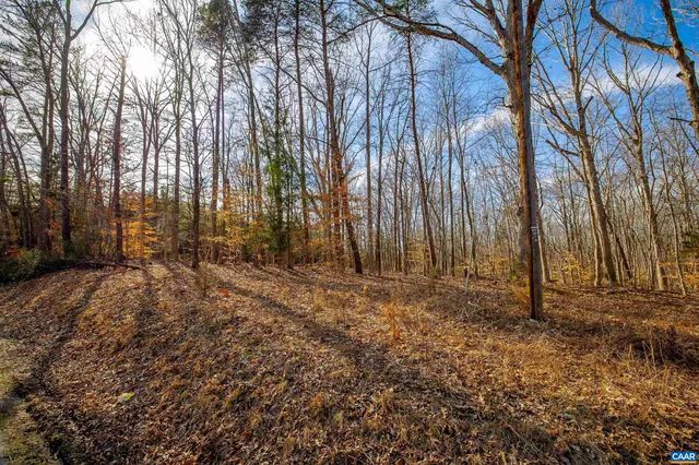 a view of backyard with trees