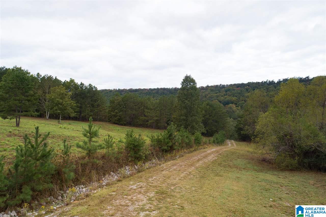 320 House Road Remlap, AL 35133 - Photo 34 of 35 Gallery Image 34