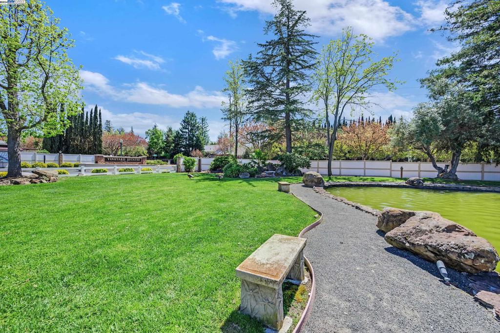 3263 Vineyard Avenue Pleasanton, CA 94566 - Photo 10 of 14 a view of a swimming pool and lounge chairs in back yard of the house