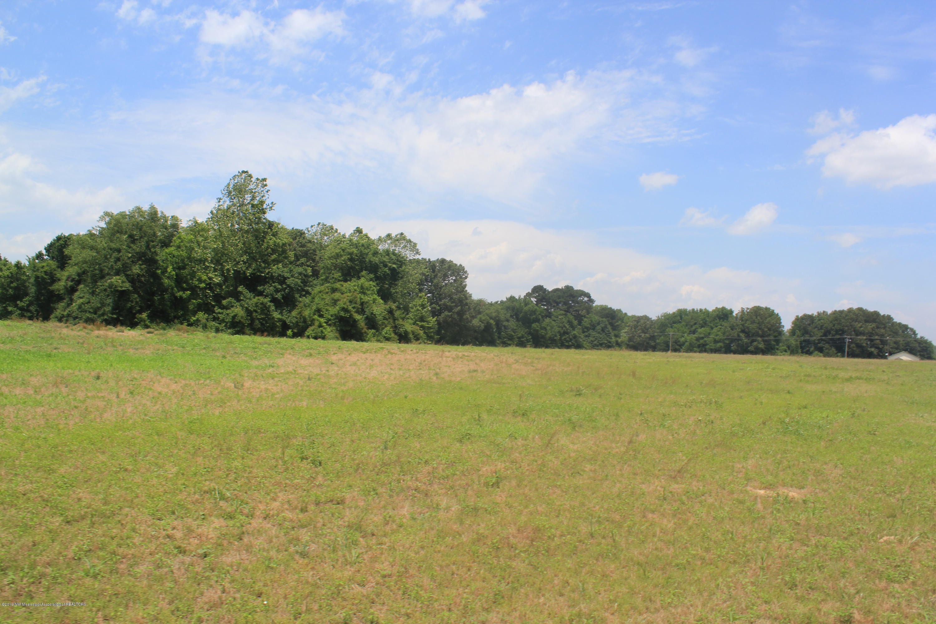 3 East Oak Grove Road Hernando, MS 38632 - Photo 13 of 22 013