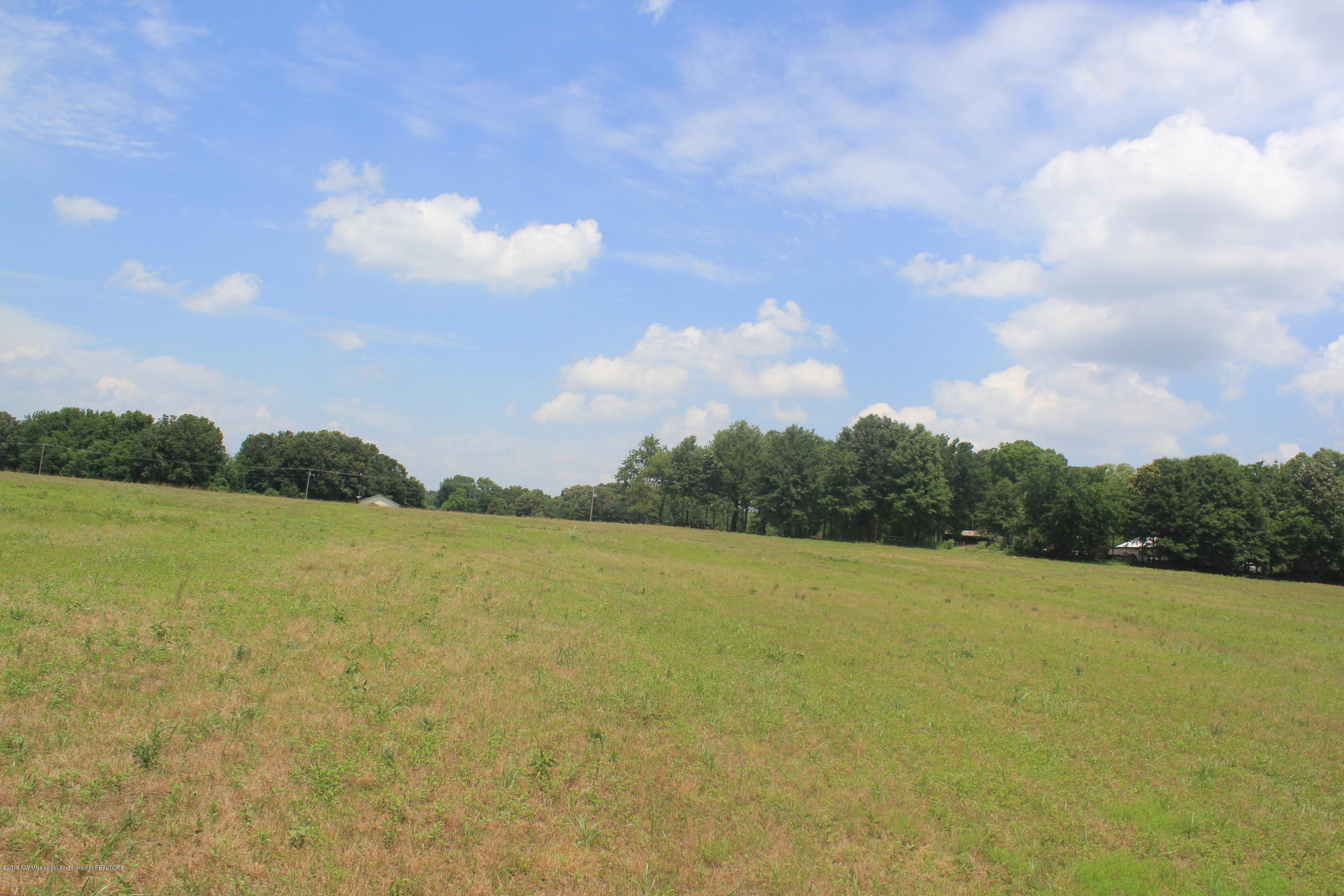 3 East Oak Grove Road Hernando, MS 38632 - Photo 14 of 22 014