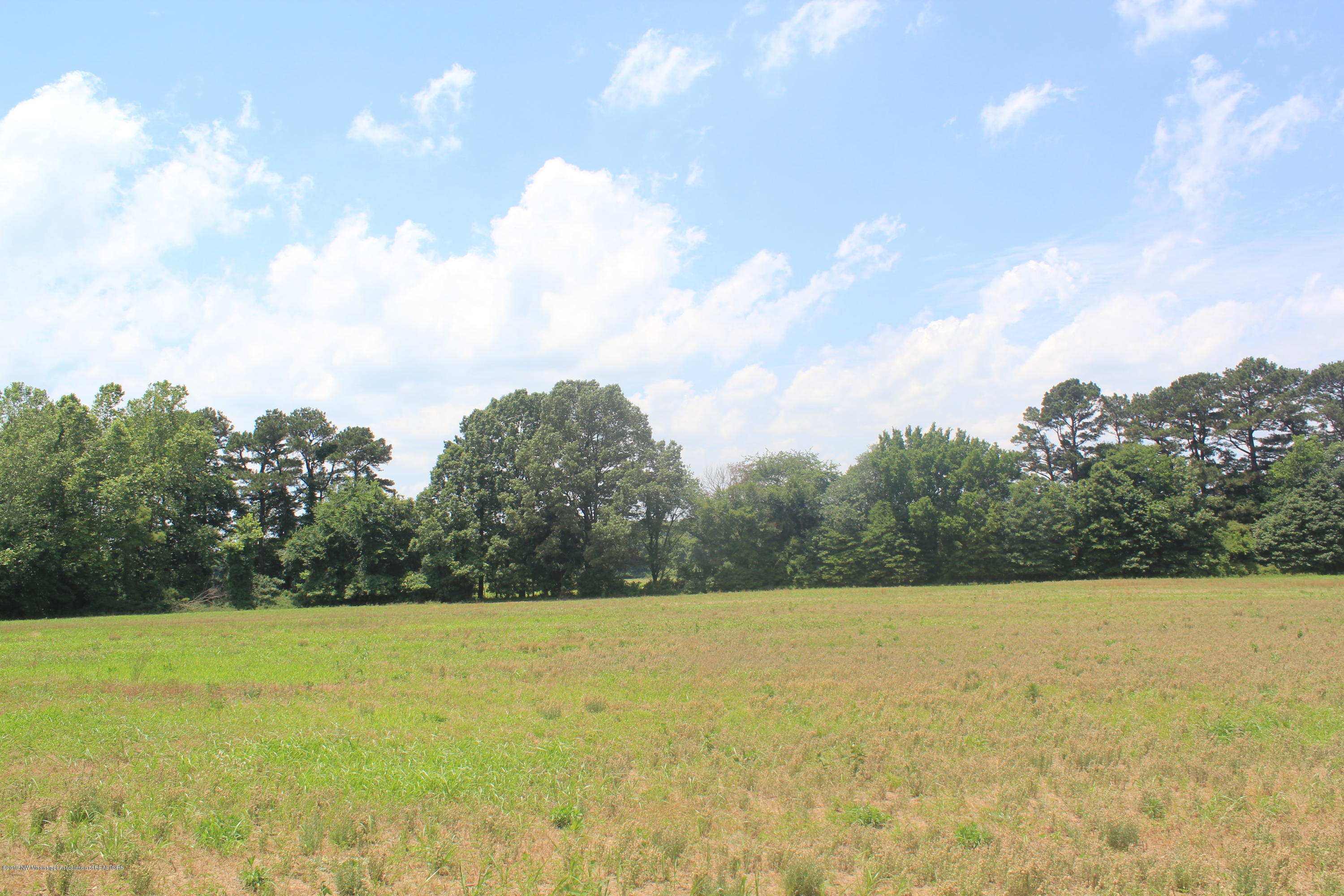 3 East Oak Grove Road Hernando, MS 38632 - Photo 19 of 22 019