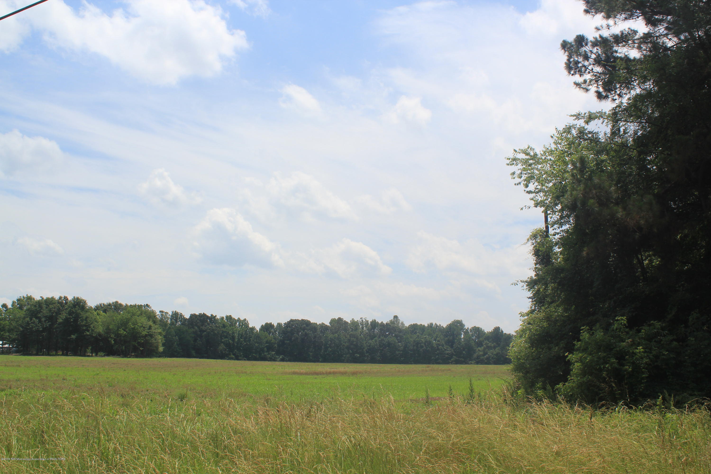 3 East Oak Grove Road Hernando, MS 38632 - Photo 2 of 22 002