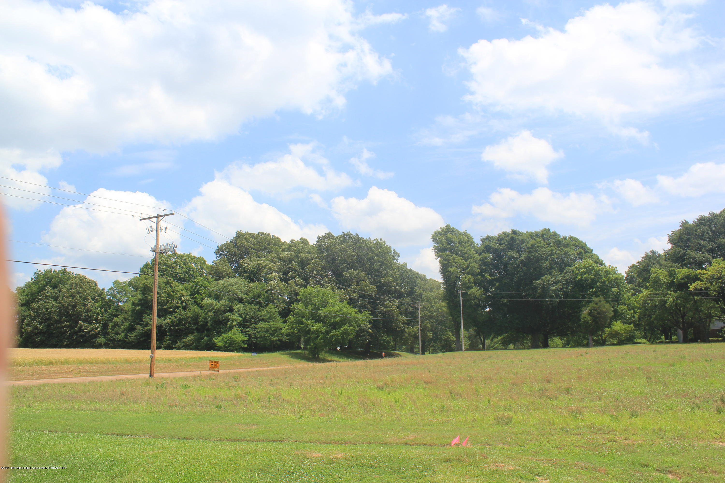 3 East Oak Grove Road Hernando, MS 38632 - Photo 3 of 22 003
