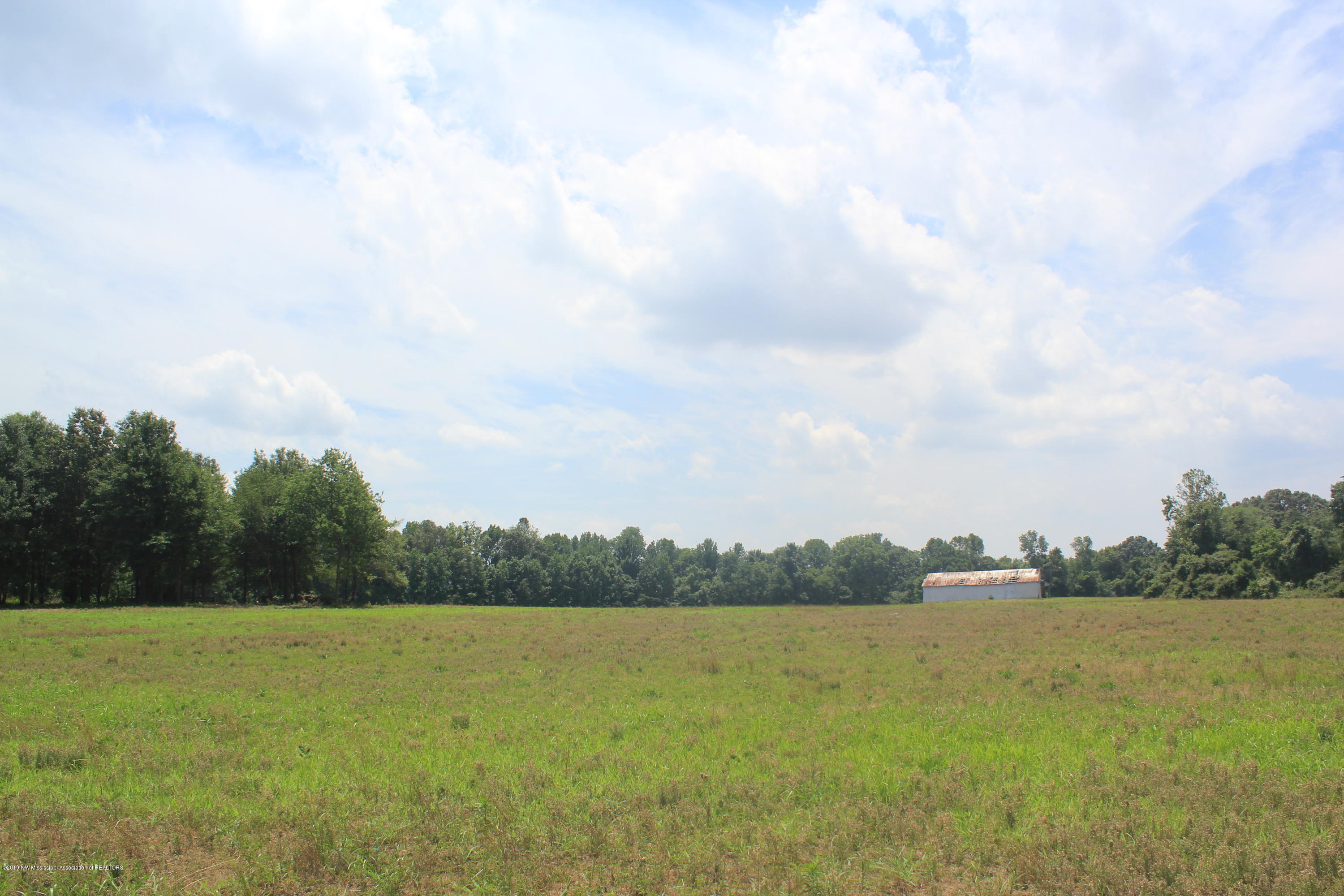 3 East Oak Grove Road Hernando, MS 38632 - Photo 4 of 22 004